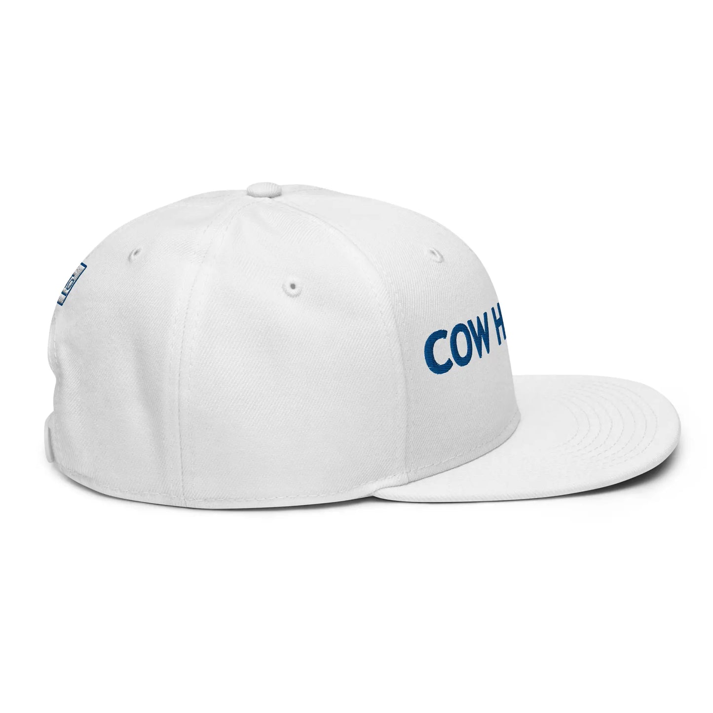 snapback-white-right-side-66ce43b43f61e.jpg