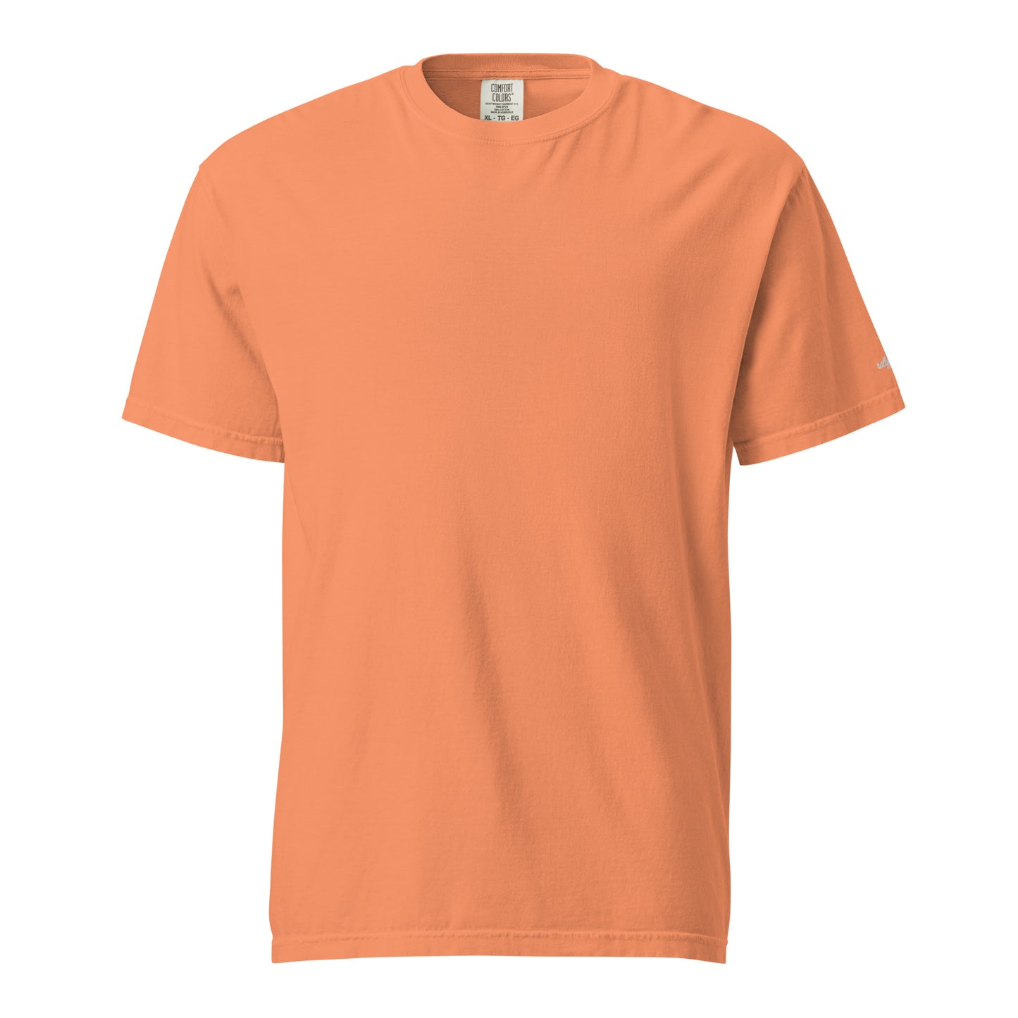 unisex-garment-dyed-heavyweight-t-shirt-terracotta-front-6663607c45795.jpg