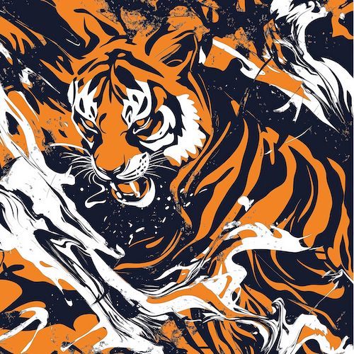cincinnati black/orange/white