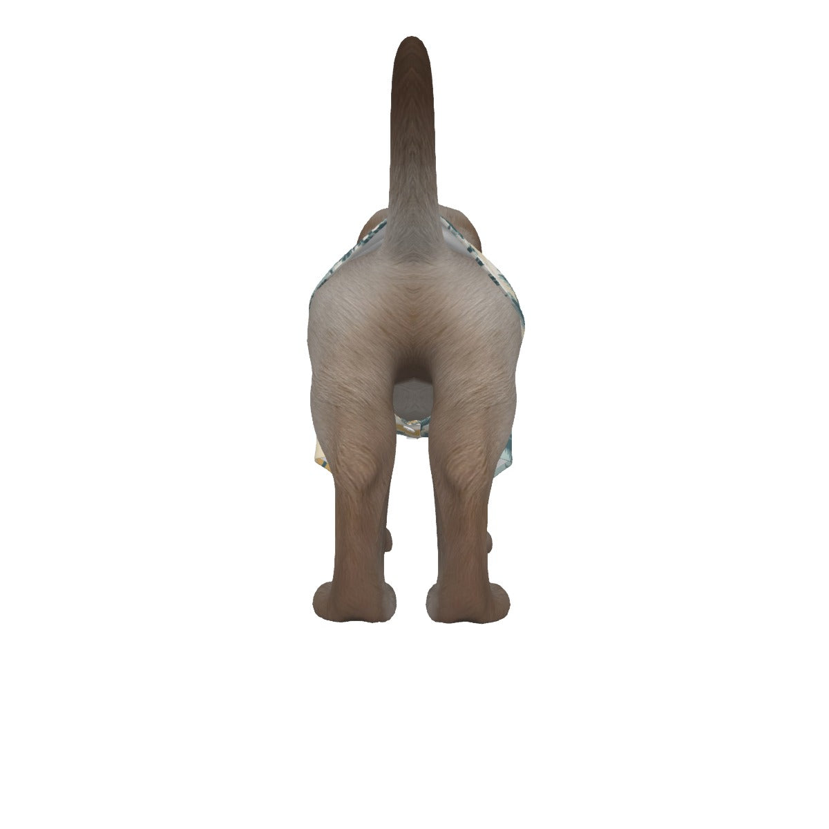 244276-14e9924c-0700-493b-9b50-0be82e6d2856.jpeg