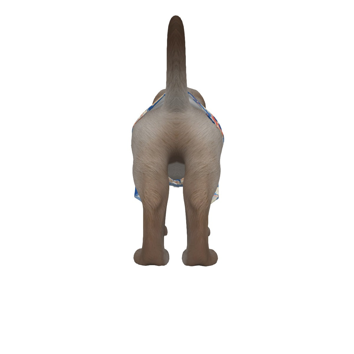 244276-9f2b6bef-9f27-4174-b75b-cfe683c0212f.jpeg