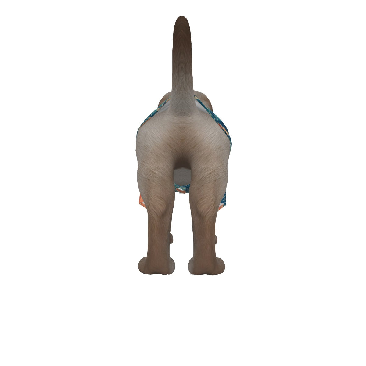 244276-d93e2999-8282-4800-bc08-38f5e9c685d9.jpeg