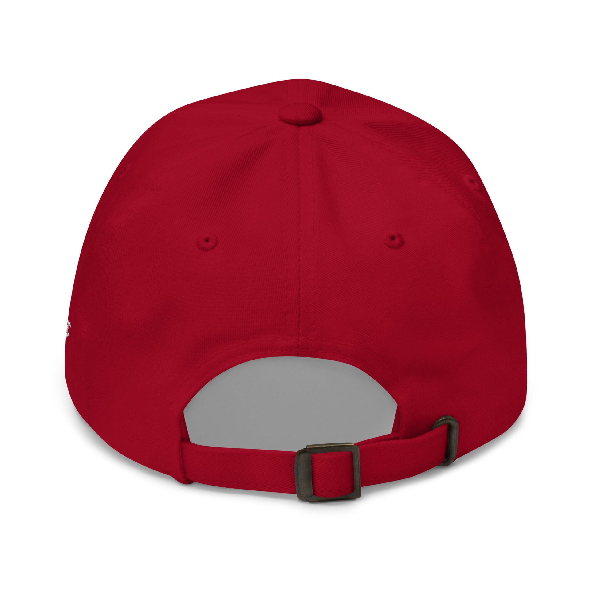 classic-dad-hat-cranberry-back-685343829f7bejpg