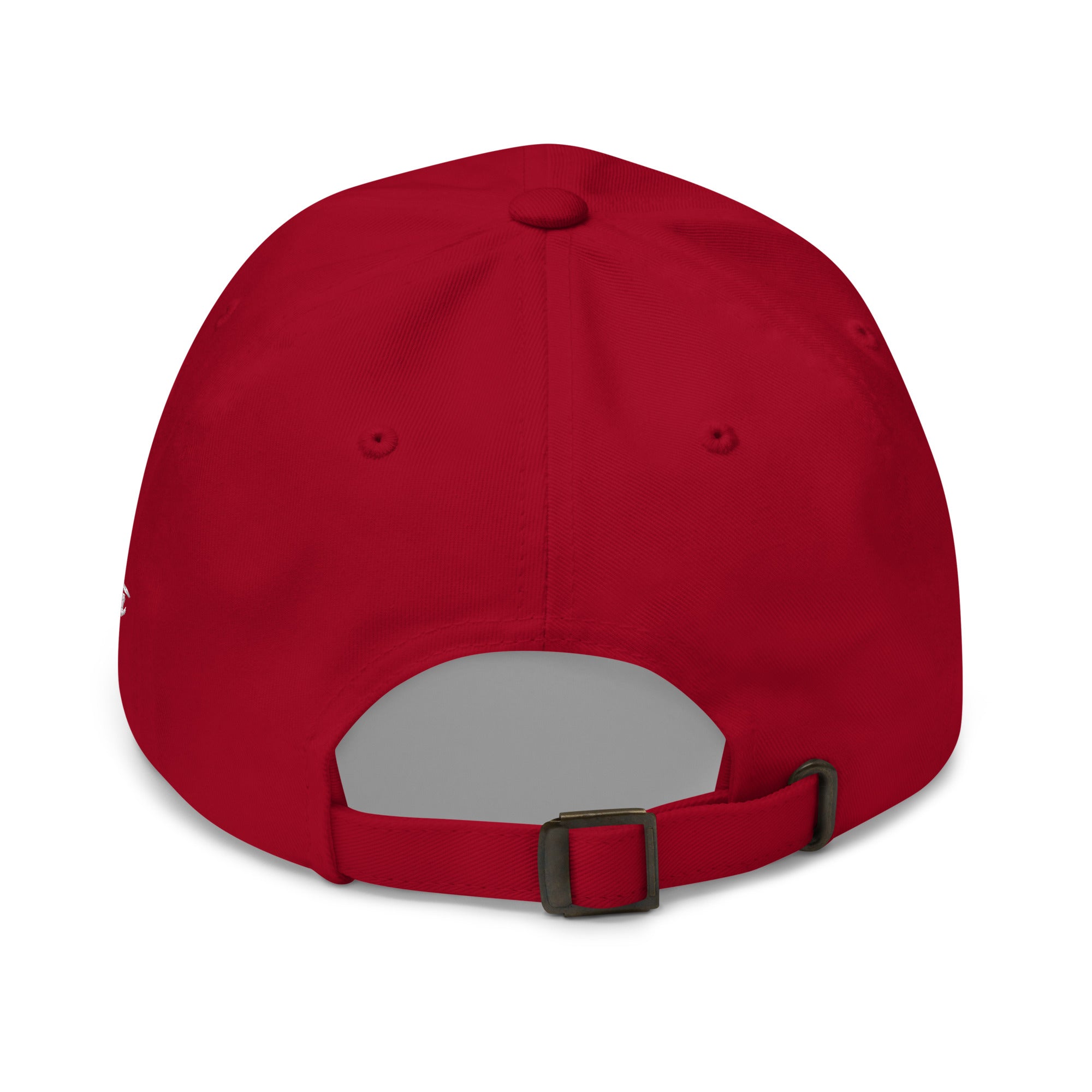 classic-dad-hat-cranberry-back-685343829f7bejpg