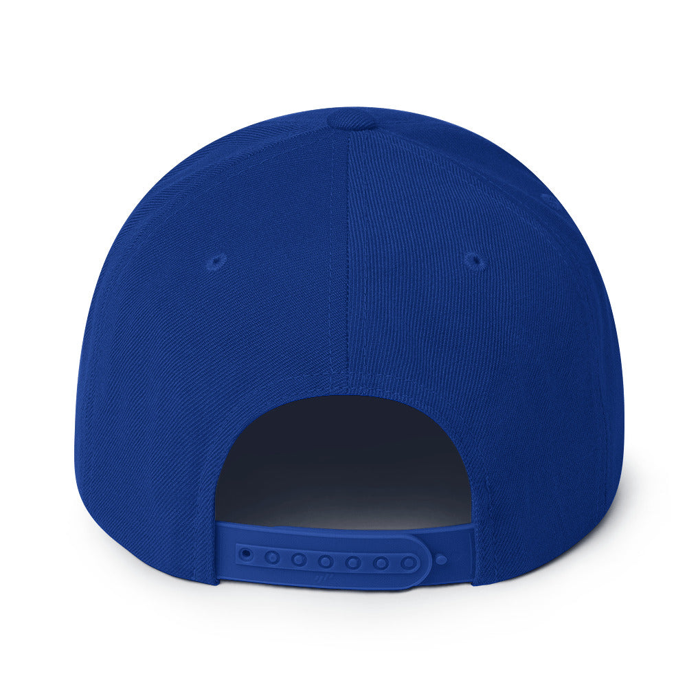 classic-snapback-royal-blue-back-664415de593c7.jpg