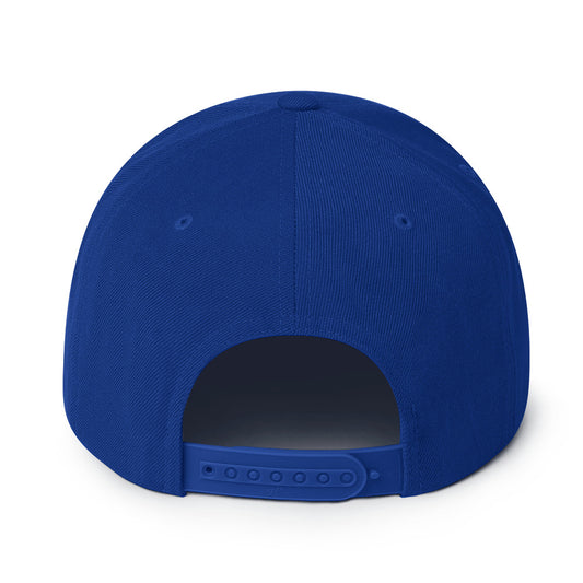 classic-snapback-royal-blue-back-664415de593c7.jpg