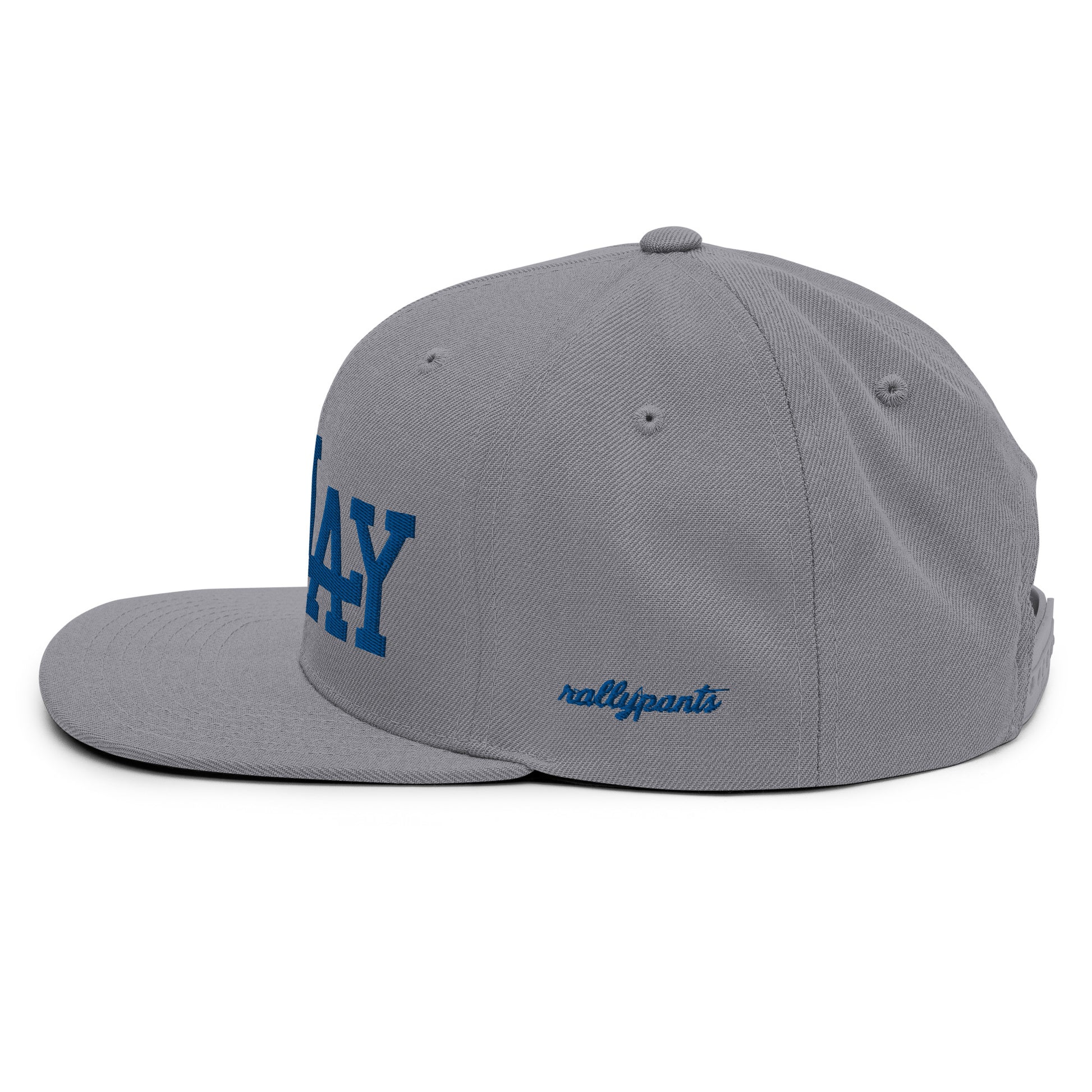 classic-snapback-silver-left-side-665b44bcdfedb.jpg