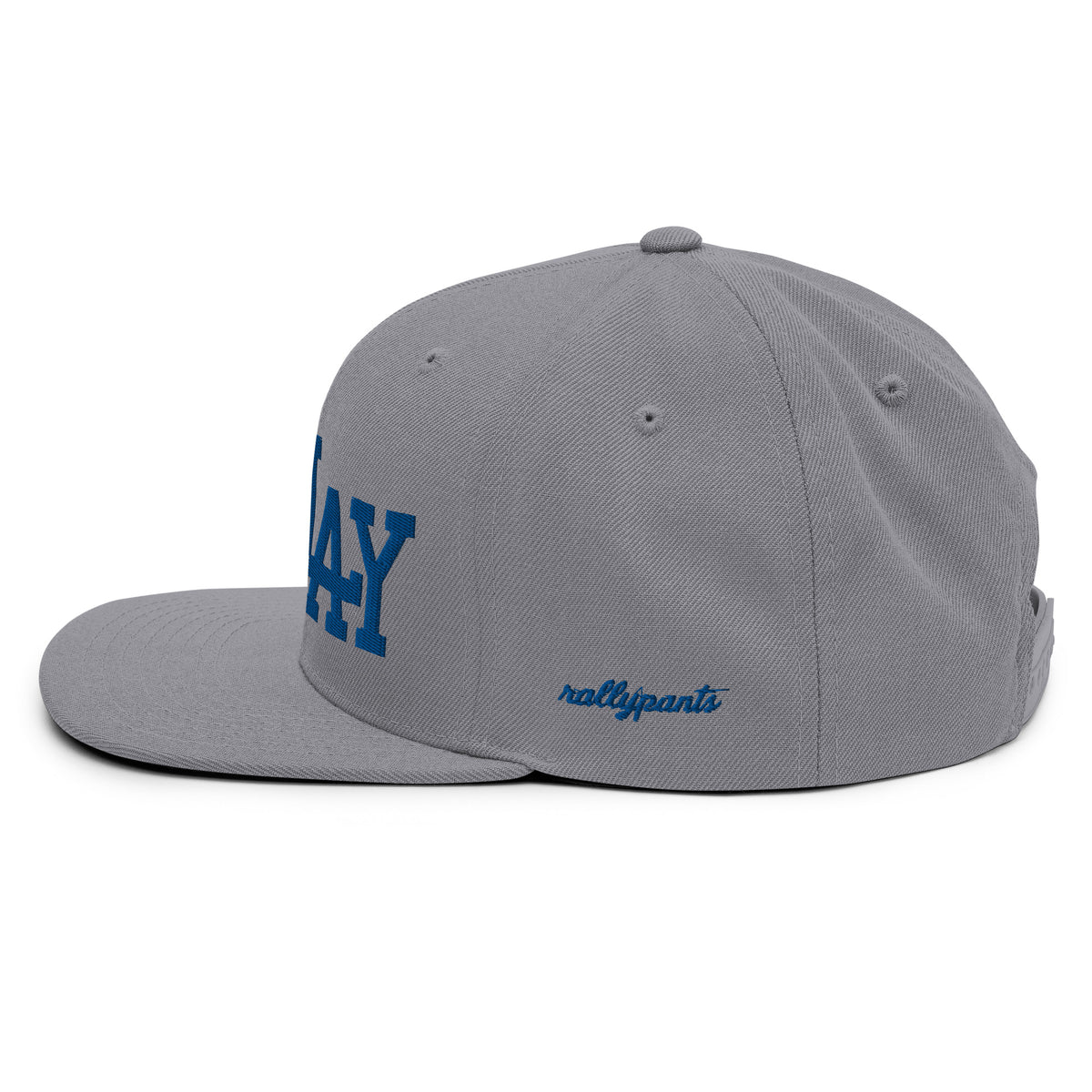 classic-snapback-silver-left-side-665b44bcdfedb.jpg