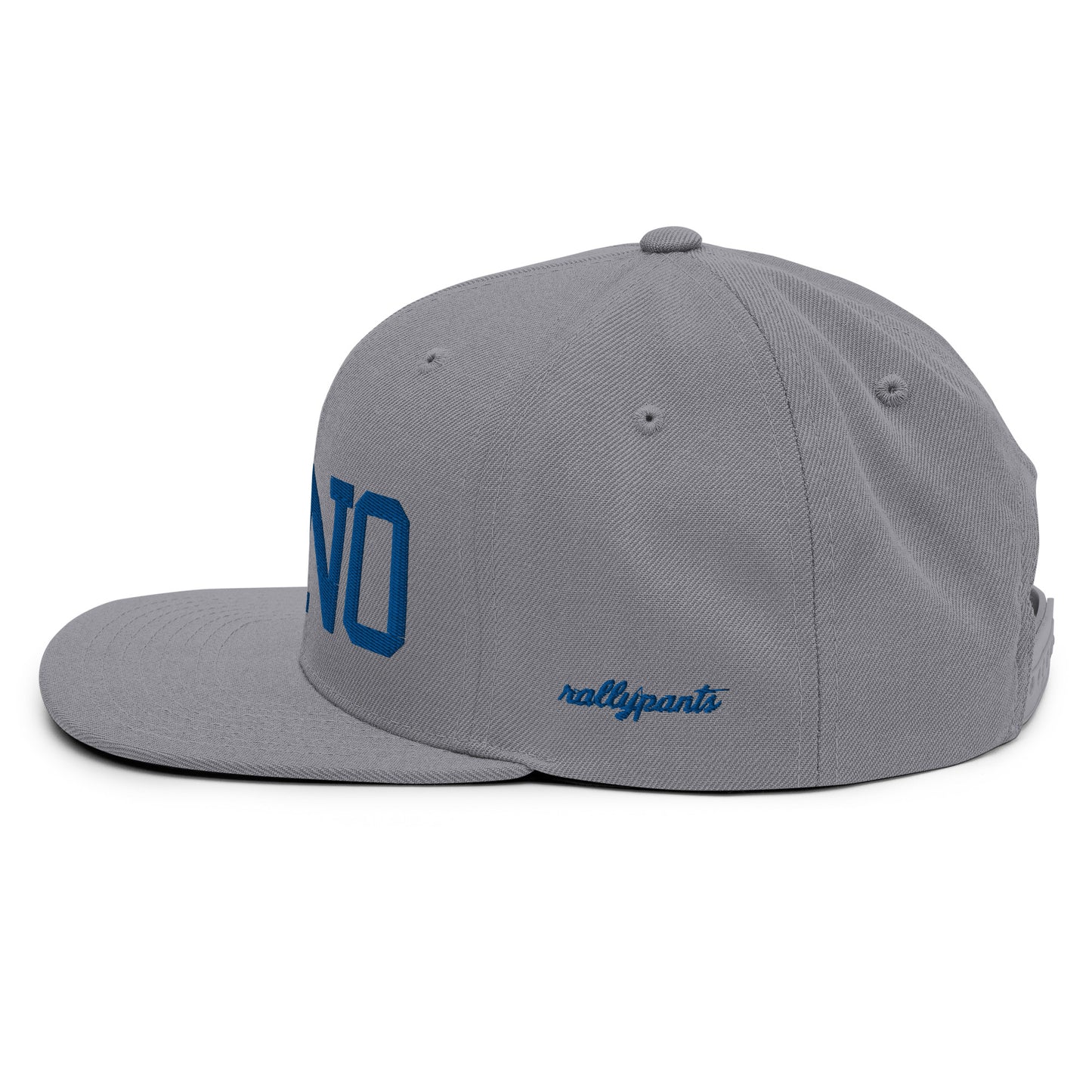classic-snapback-silver-left-side-66abdce2e9d3b.jpg