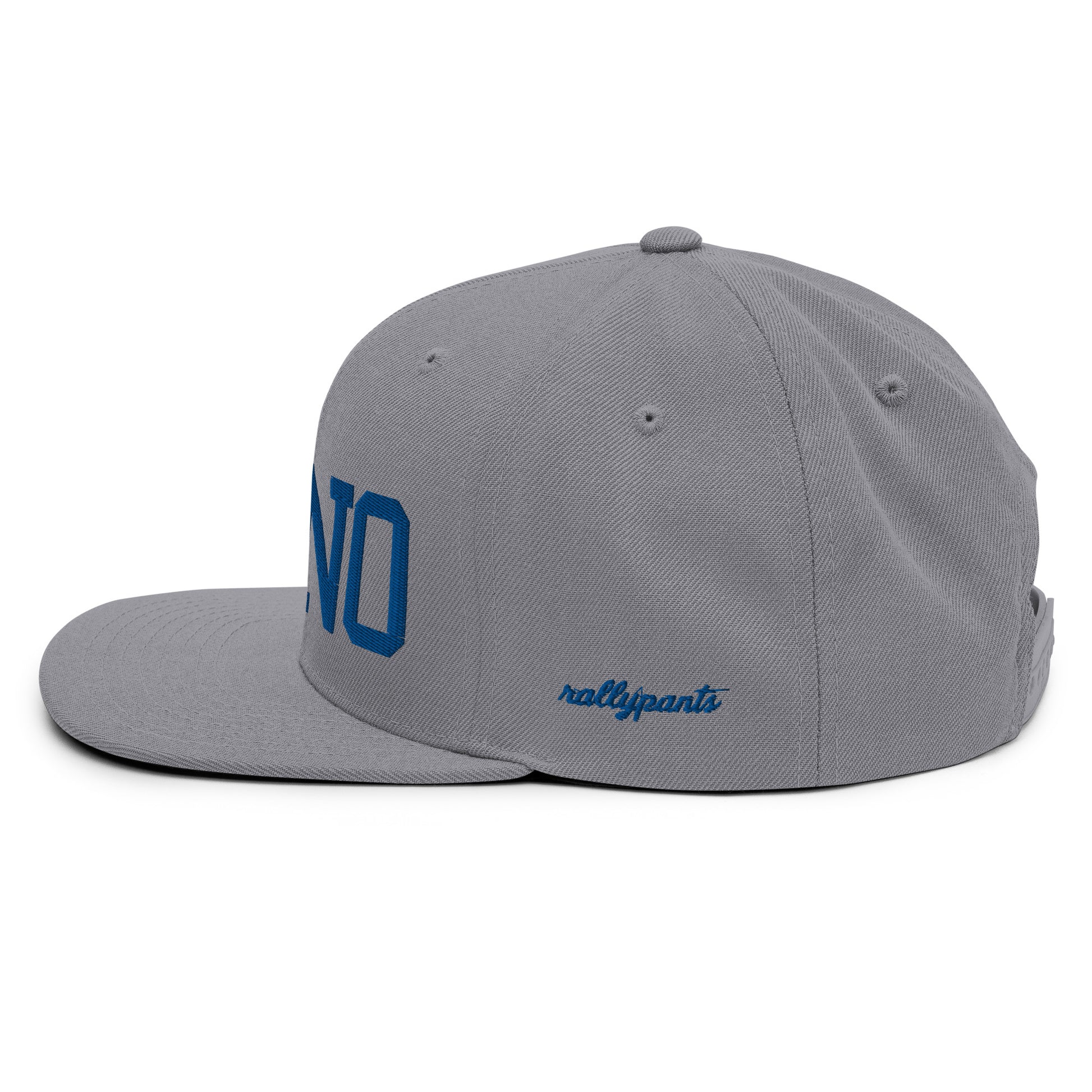 classic-snapback-silver-left-side-66abdce2e9d3b.jpg