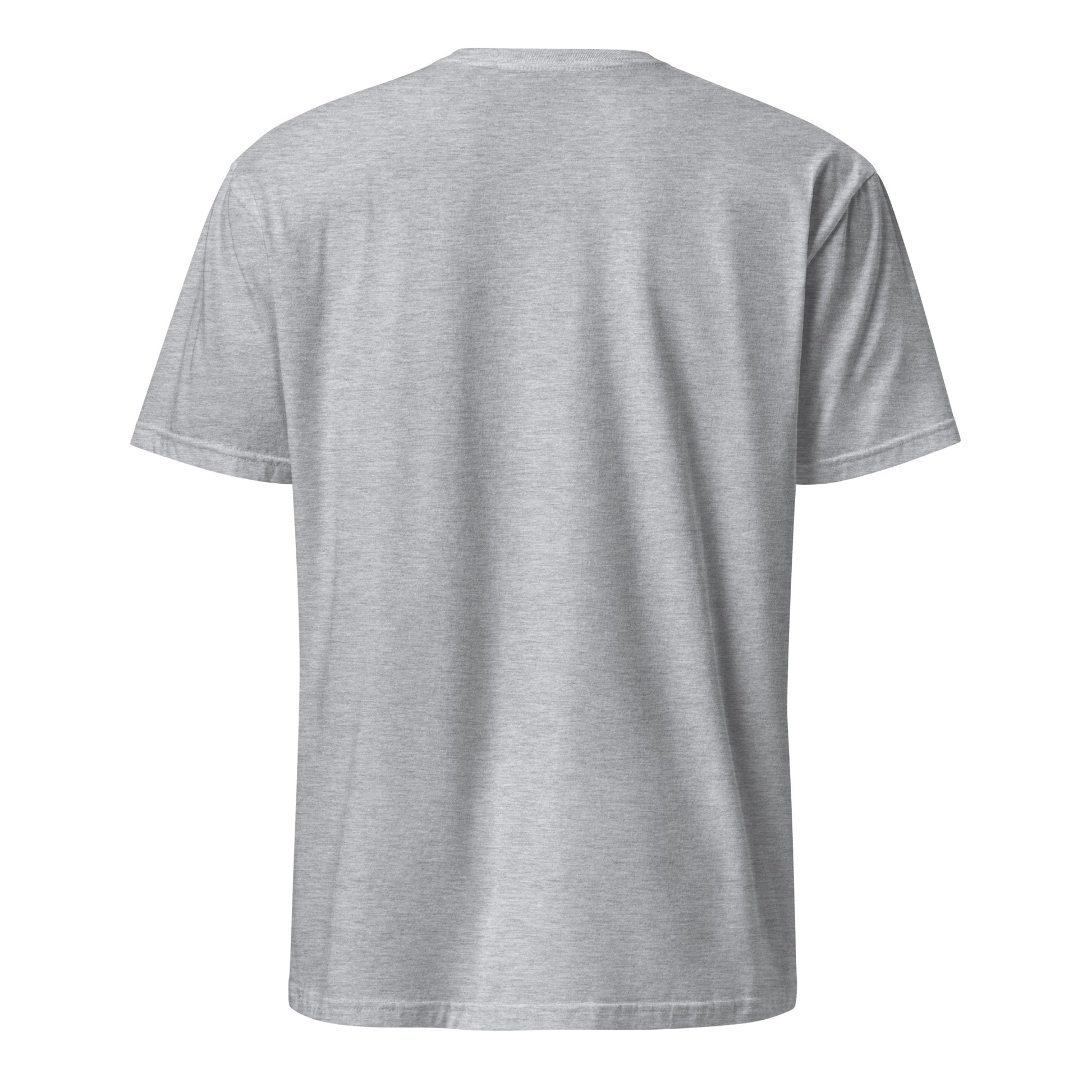 unisex-basic-softstyle-t-shirt-sport-grey-back-67ec899c694ac.jpg