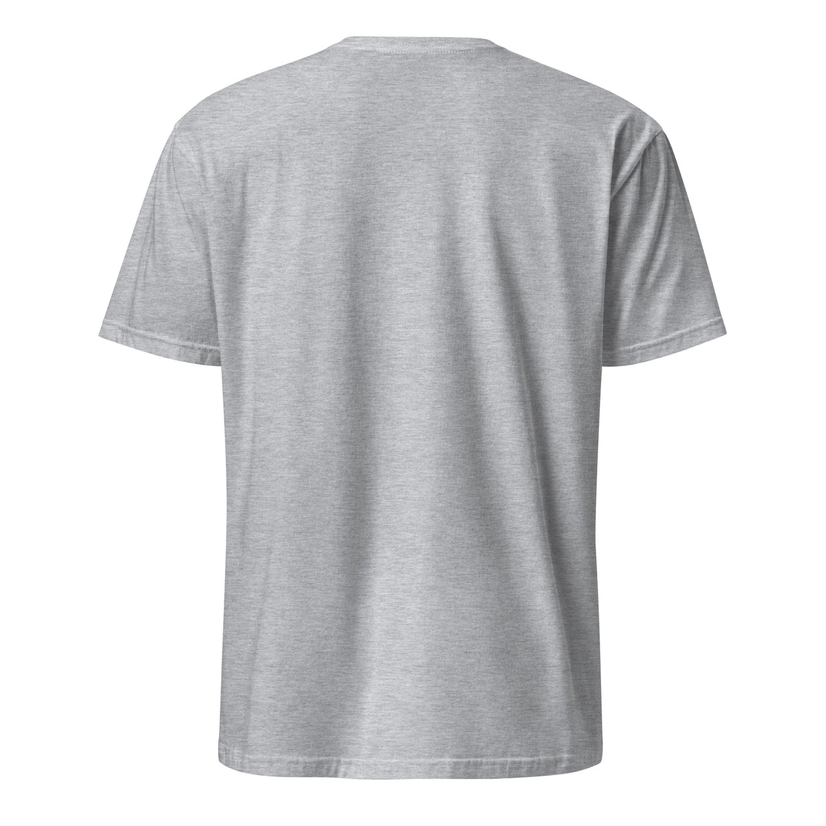 DON'T YOU WISH? statement t-shirt back view in sport grey