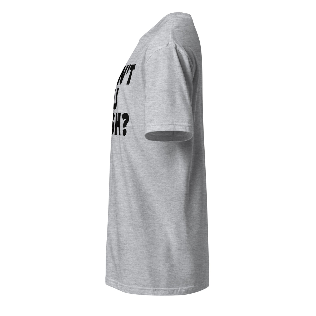 DON'T YOU WISH? statement t-shirt left side view in sport grey