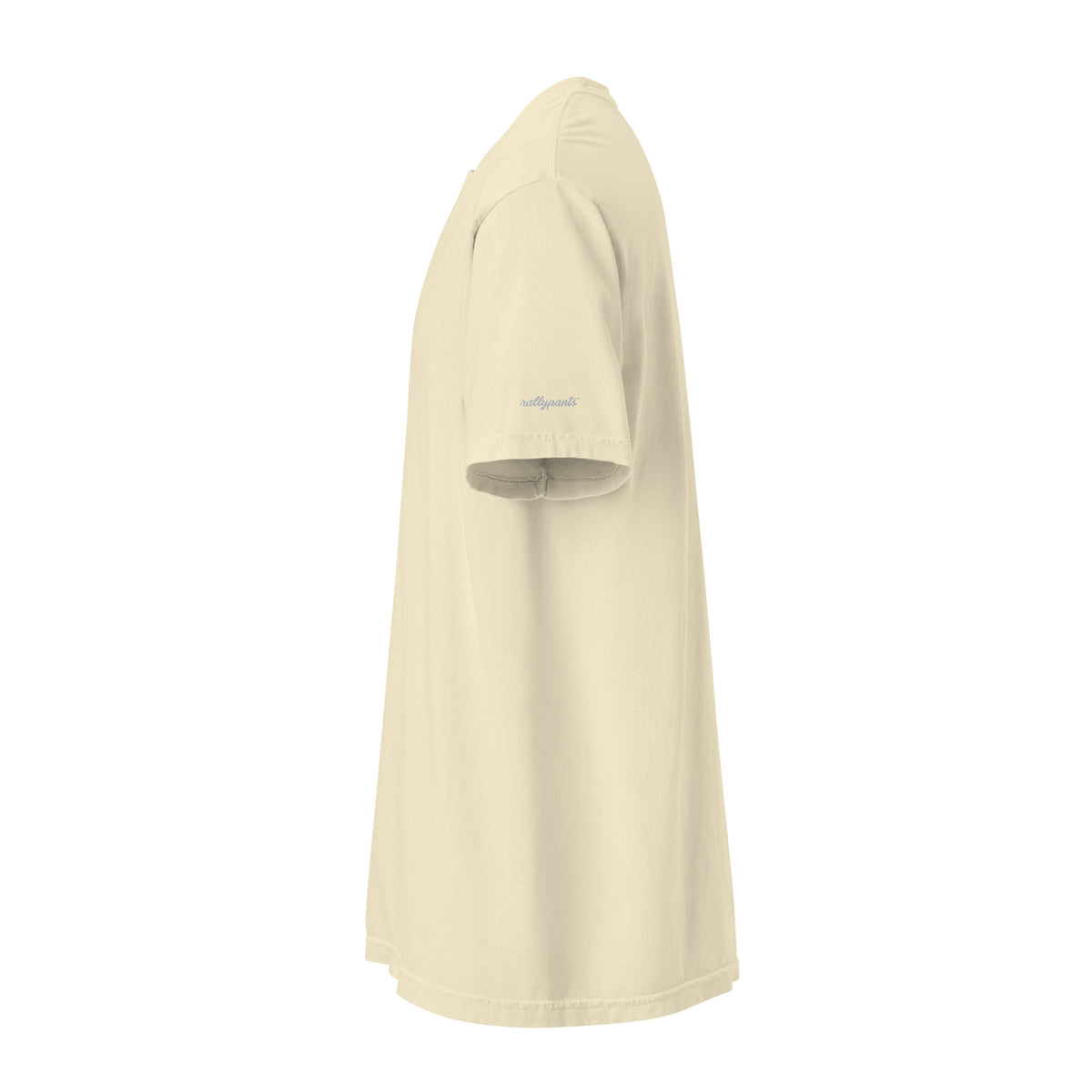 unisex-garment-dyed-heavyweight-t-shirt-ivory-left-6663607c7ee7f.jpg