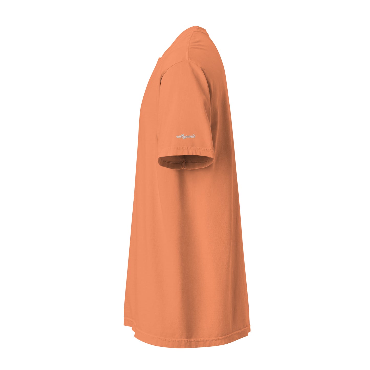 unisex-garment-dyed-heavyweight-t-shirt-terracotta-left-6663607c3df5c.jpg