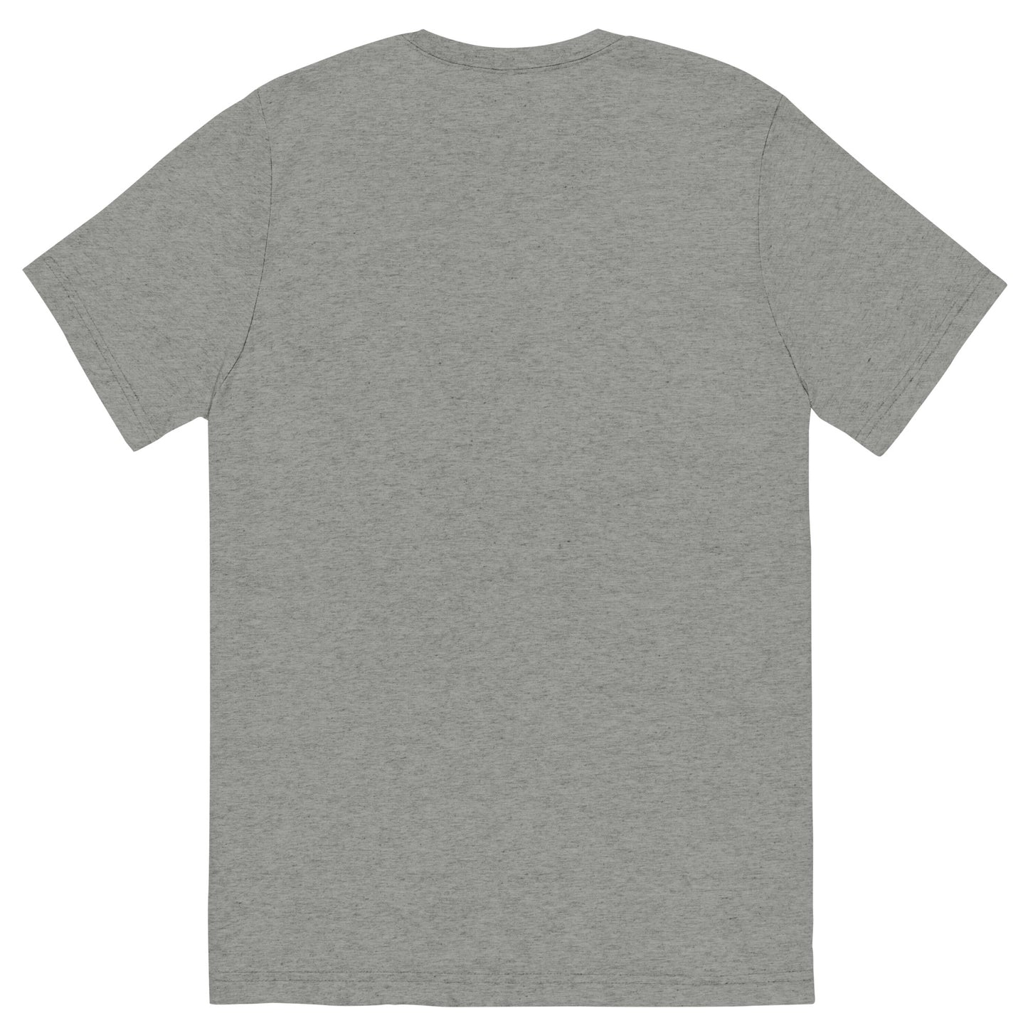 unisex-tri-blend-t-shirt-athletic-grey-triblend-back-66a405a57ffda.jpg