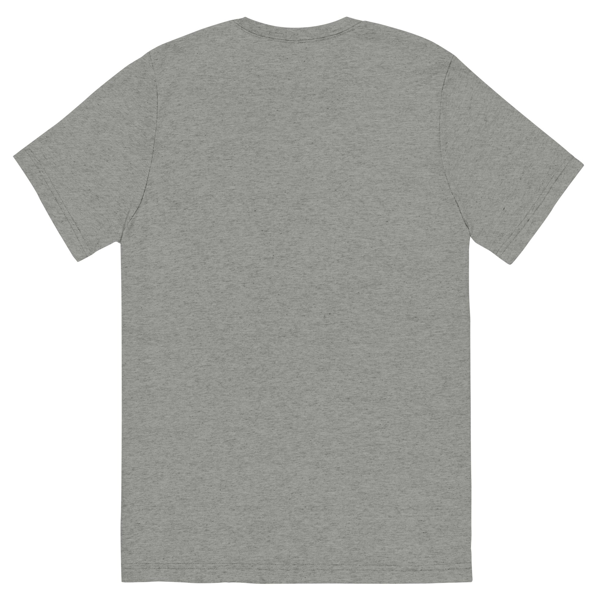 unisex-tri-blend-t-shirt-athletic-grey-triblend-back-66a405a57ffda.jpg