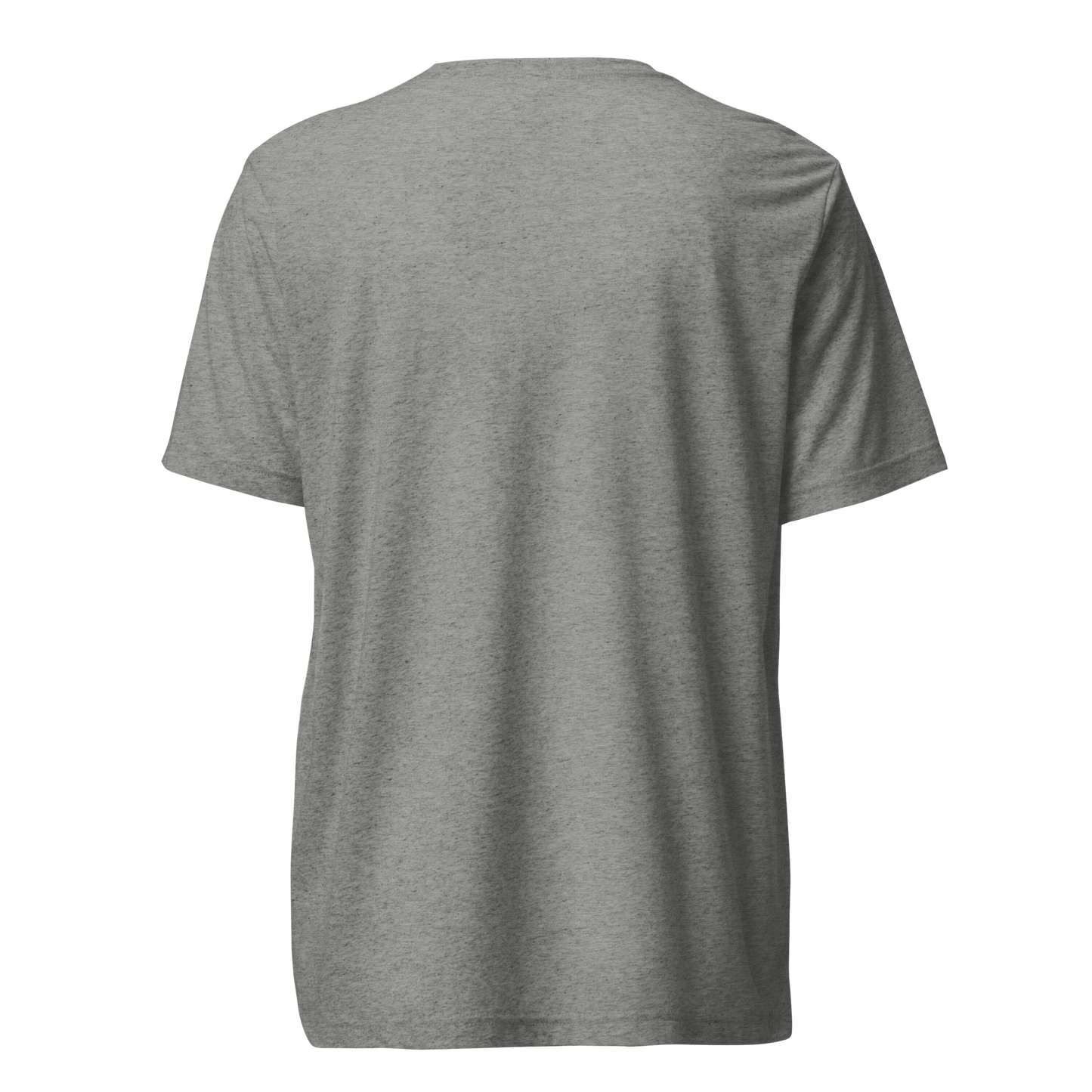 unisex-tri-blend-t-shirt-athletic-grey-triblend-back-66b3d04c4388c.png