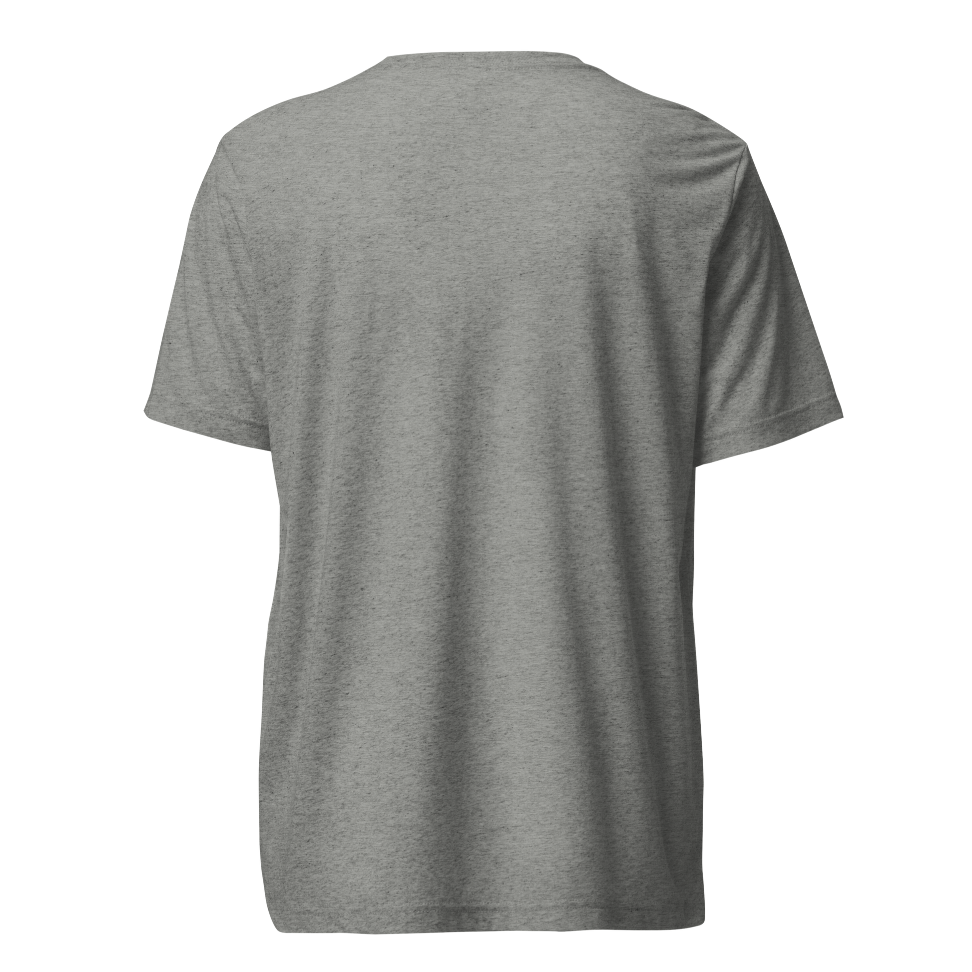 unisex-tri-blend-t-shirt-athletic-grey-triblend-back-66b3d04c4388c.png