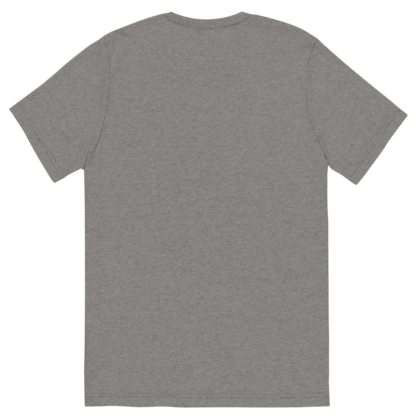 unisex-tri-blend-t-shirt-grey-triblend-back-66a405a568756.jpg