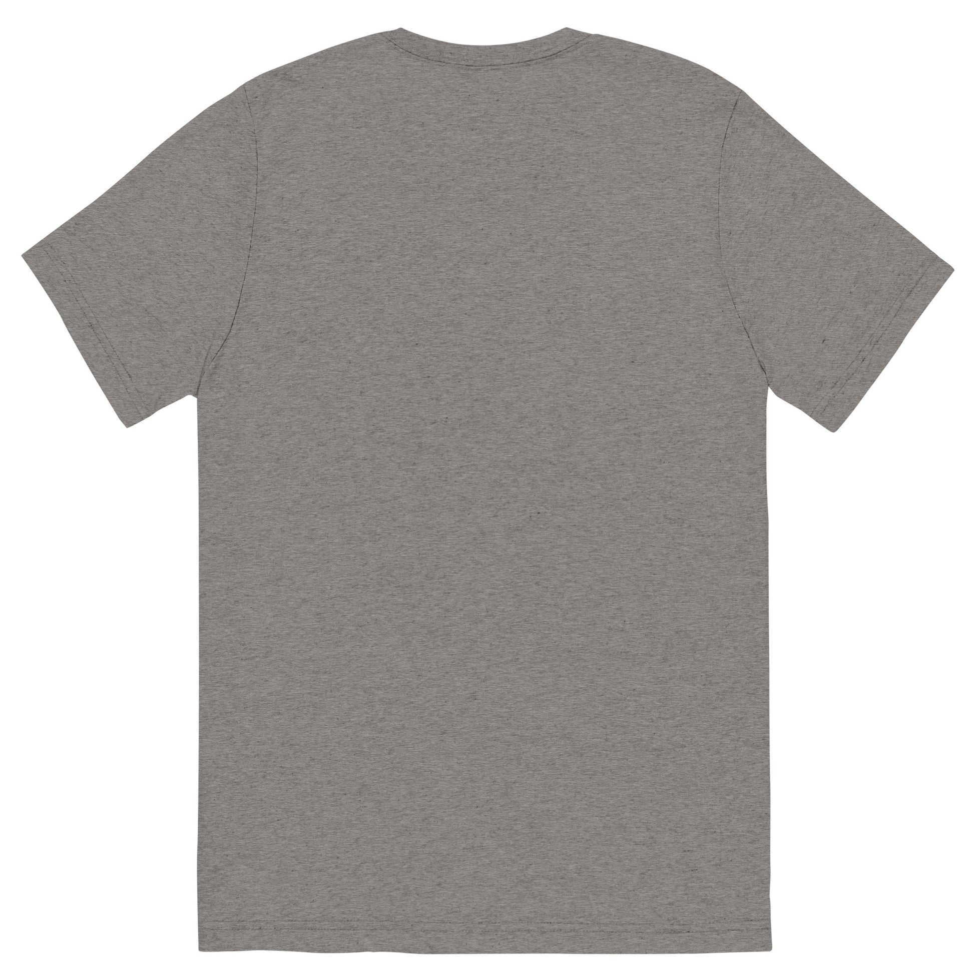 unisex-tri-blend-t-shirt-grey-triblend-back-66a405a568756.jpg