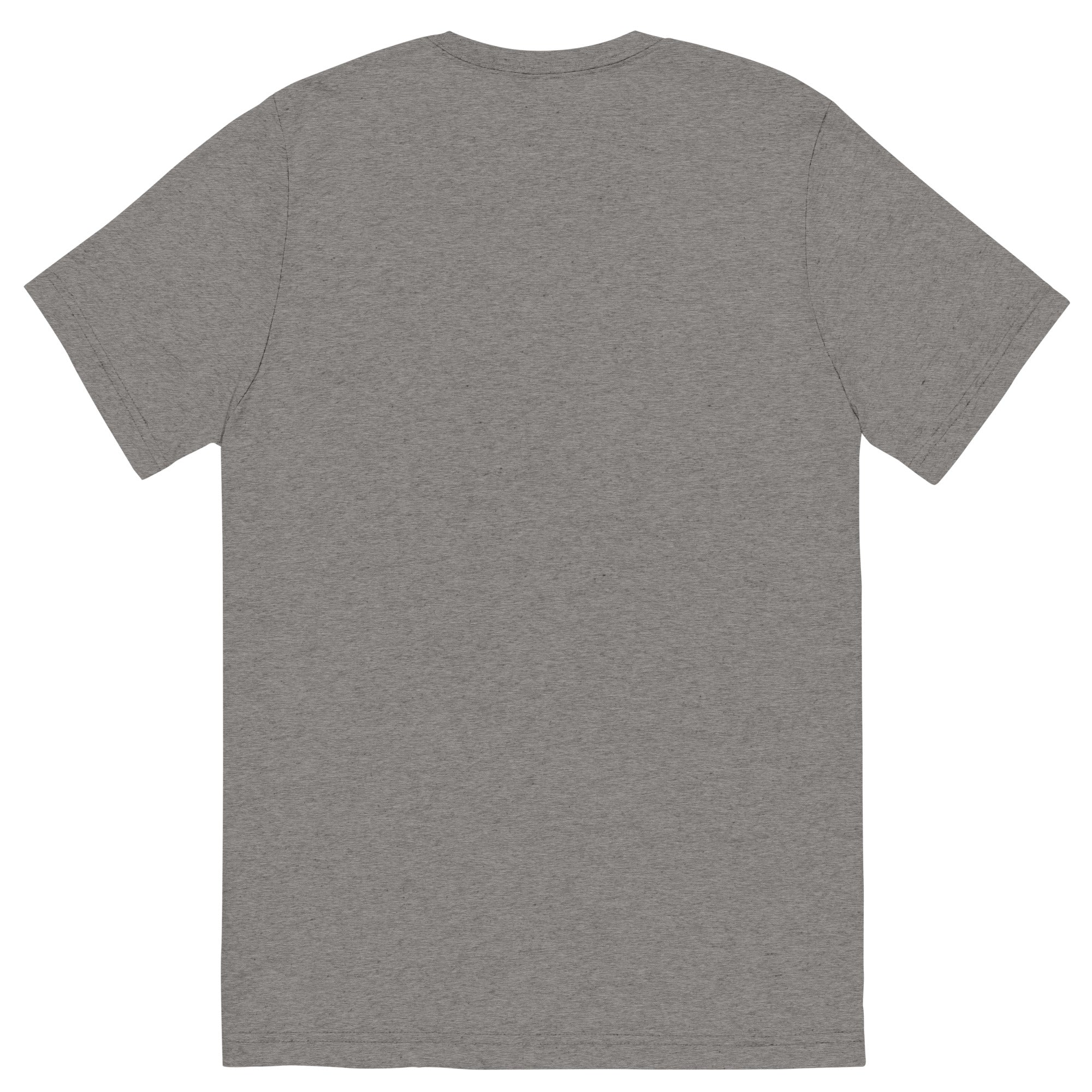unisex-tri-blend-t-shirt-grey-triblend-back-66a405a568756.jpg