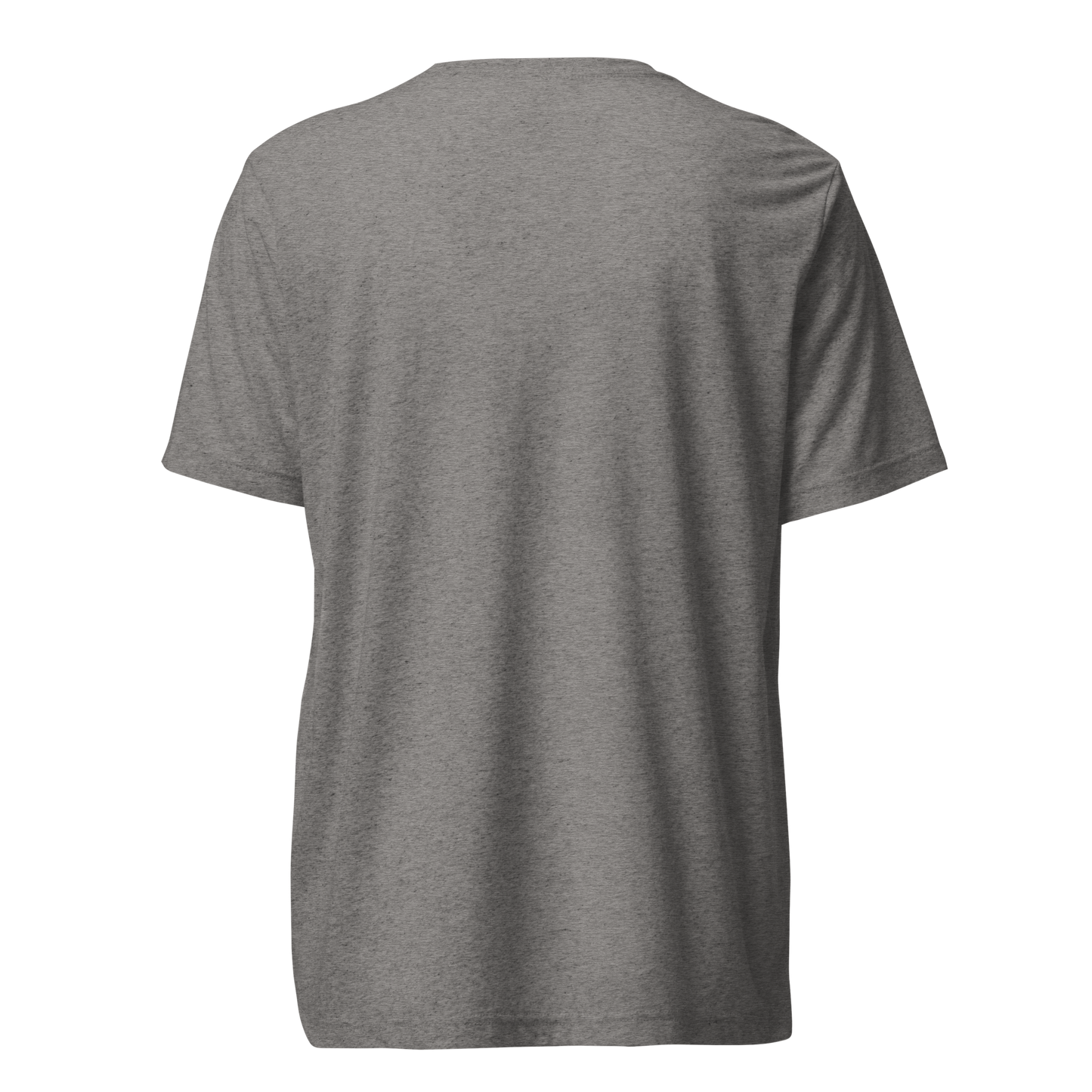 unisex-tri-blend-t-shirt-grey-triblend-back-66b3d04c35de9.png