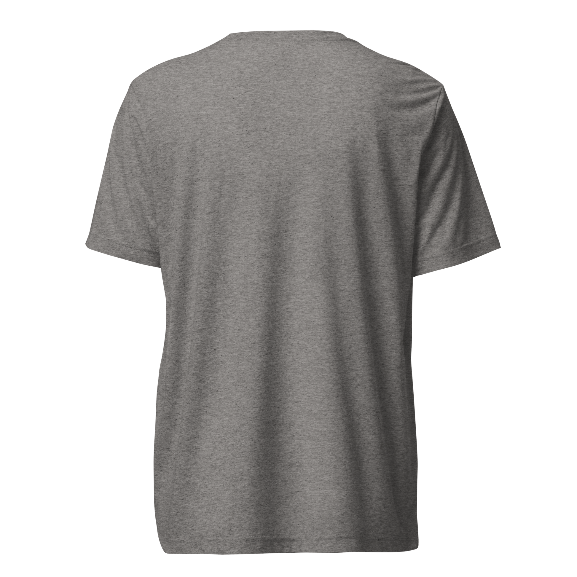 unisex-tri-blend-t-shirt-grey-triblend-back-66b3d04c35de9.png