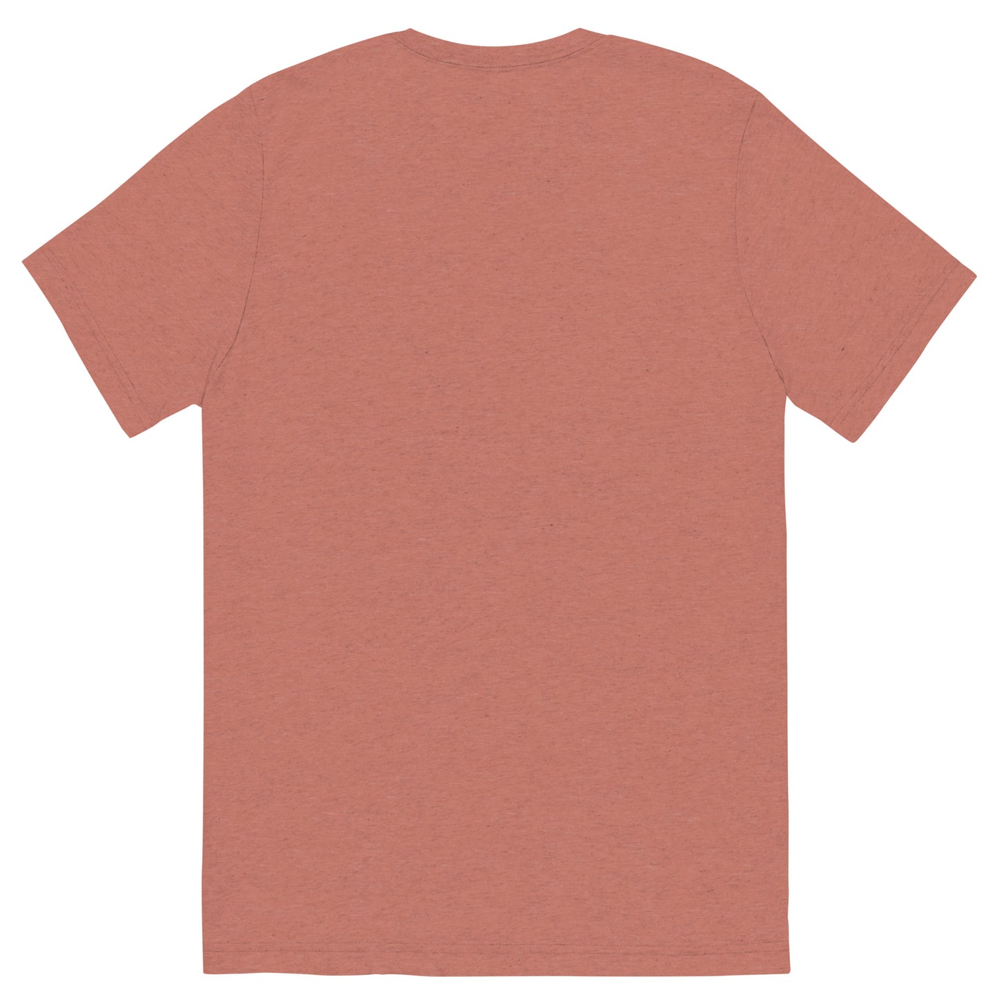 unisex-tri-blend-t-shirt-mauve-triblend-back-66a405a575cd3.jpg