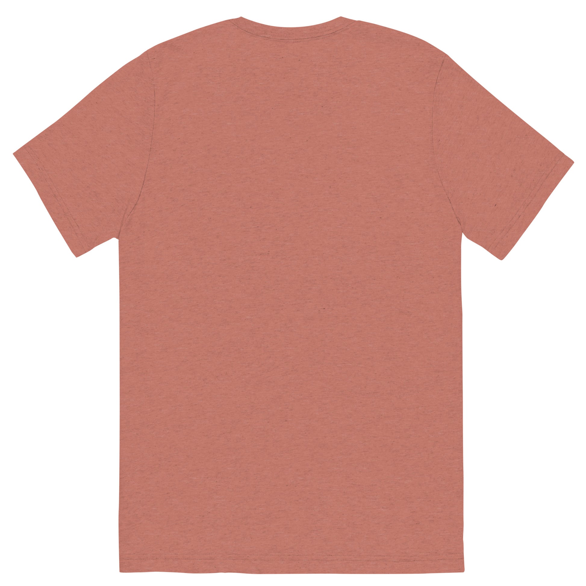 unisex-tri-blend-t-shirt-mauve-triblend-back-66a405a575cd3.jpg