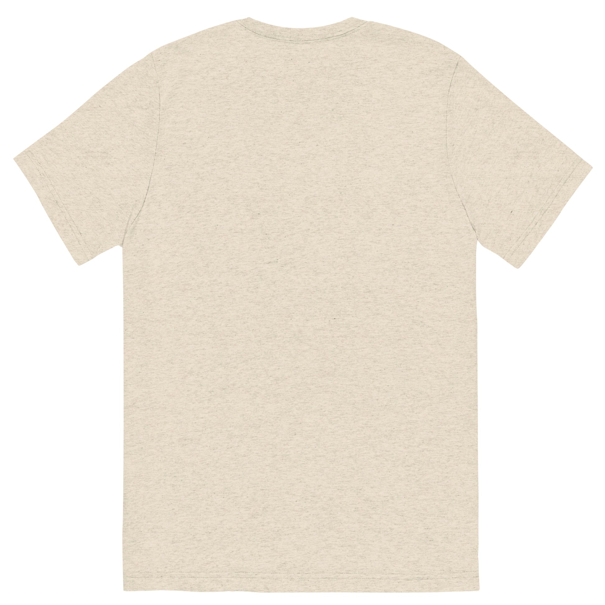 unisex-tri-blend-t-shirt-oatmeal-triblend-back-66a405a5b0756.jpg