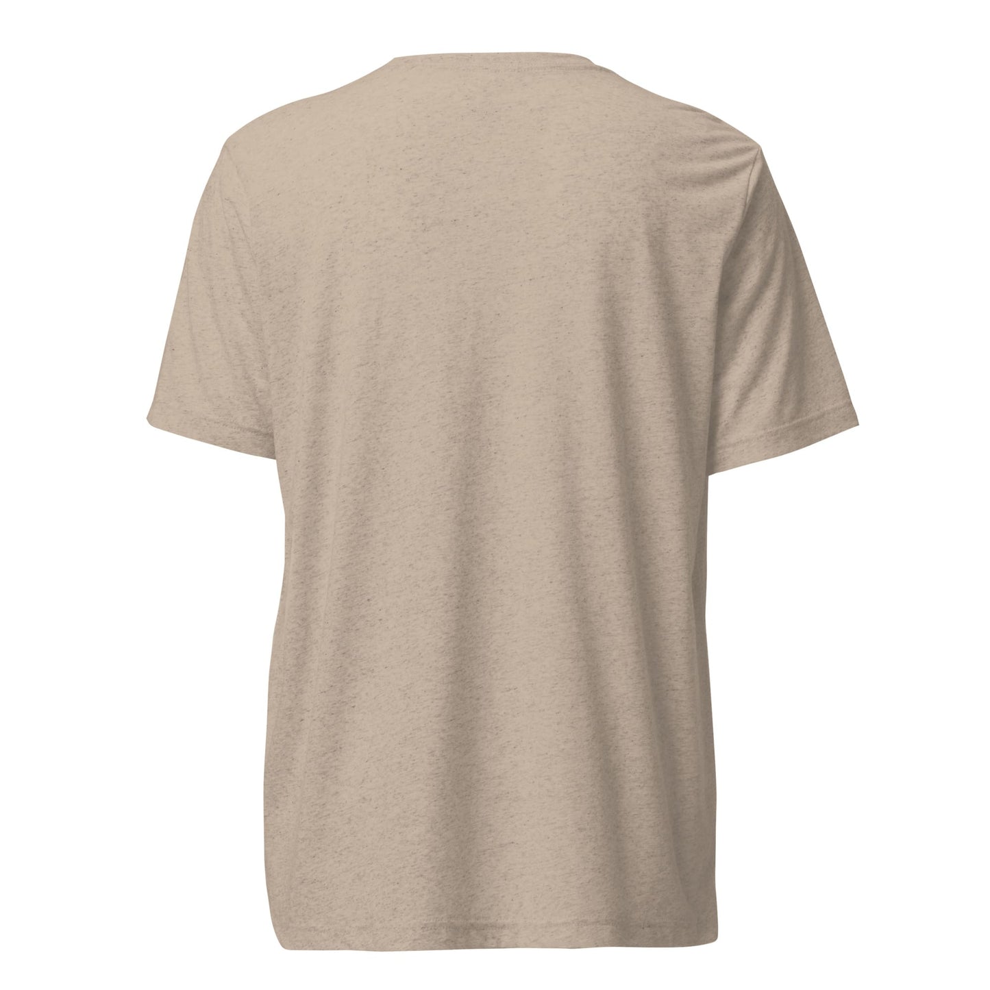 unisex-tri-blend-t-shirt-tan-triblend-back-6709f5d10cc4a.jpg